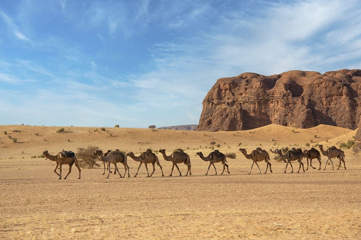 Tchad
