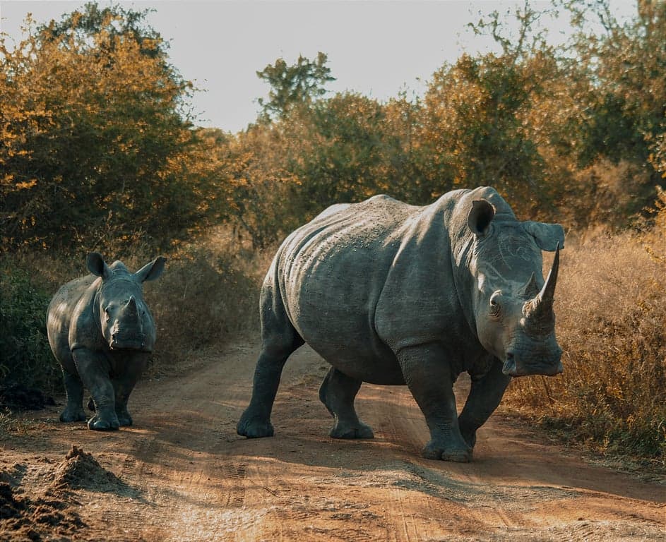 Eswatini