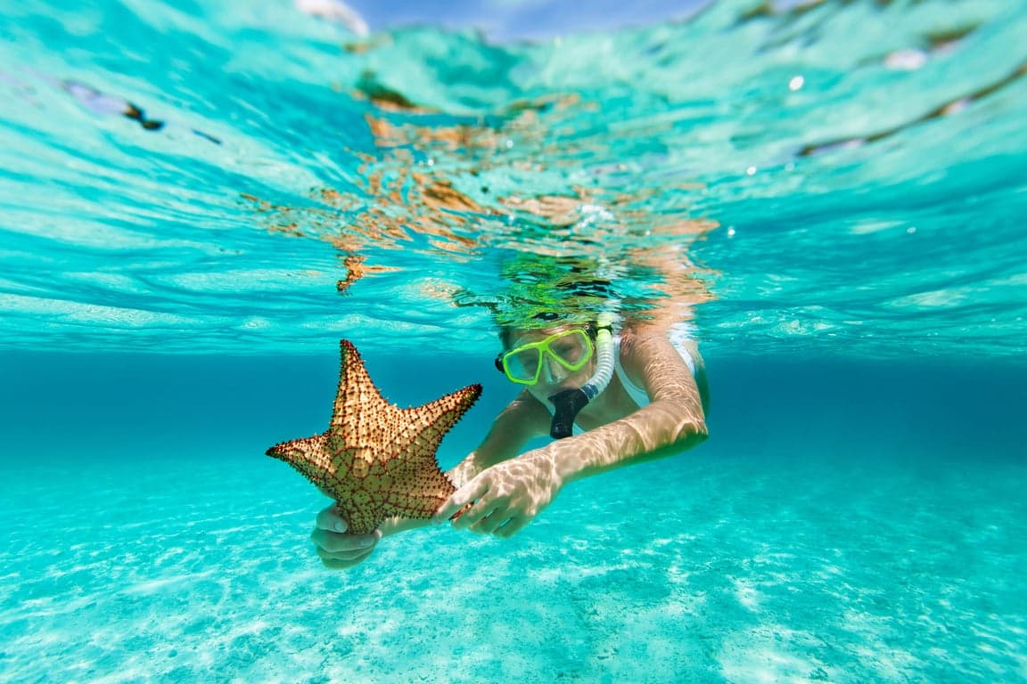 Caraibi