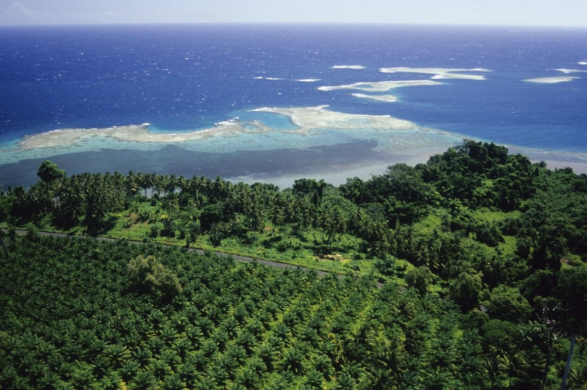 Papua New Guinea