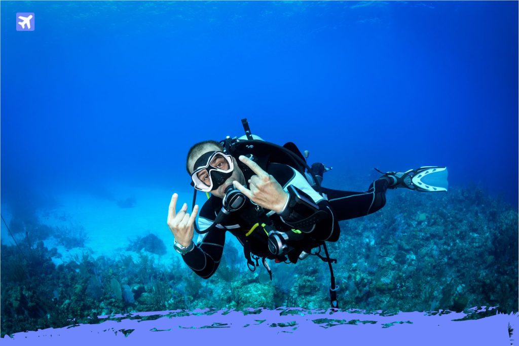 buceo brasil