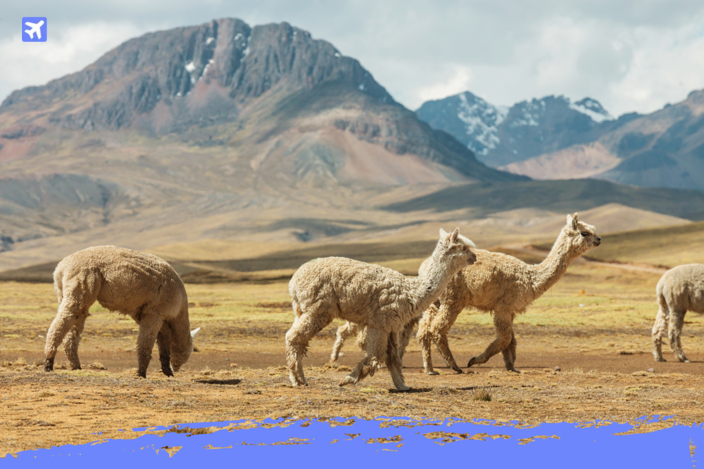 Que hacer en Bolivia guia de viaje para viajeros