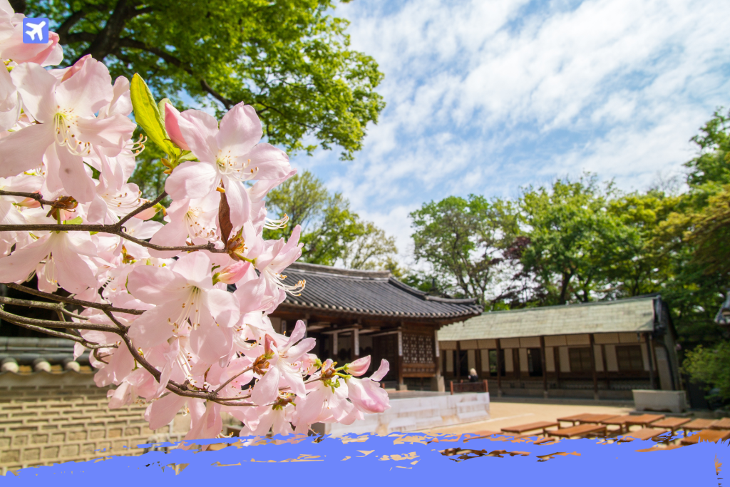 eSIM para Corea del Sur K pop tech y conectividad 2026