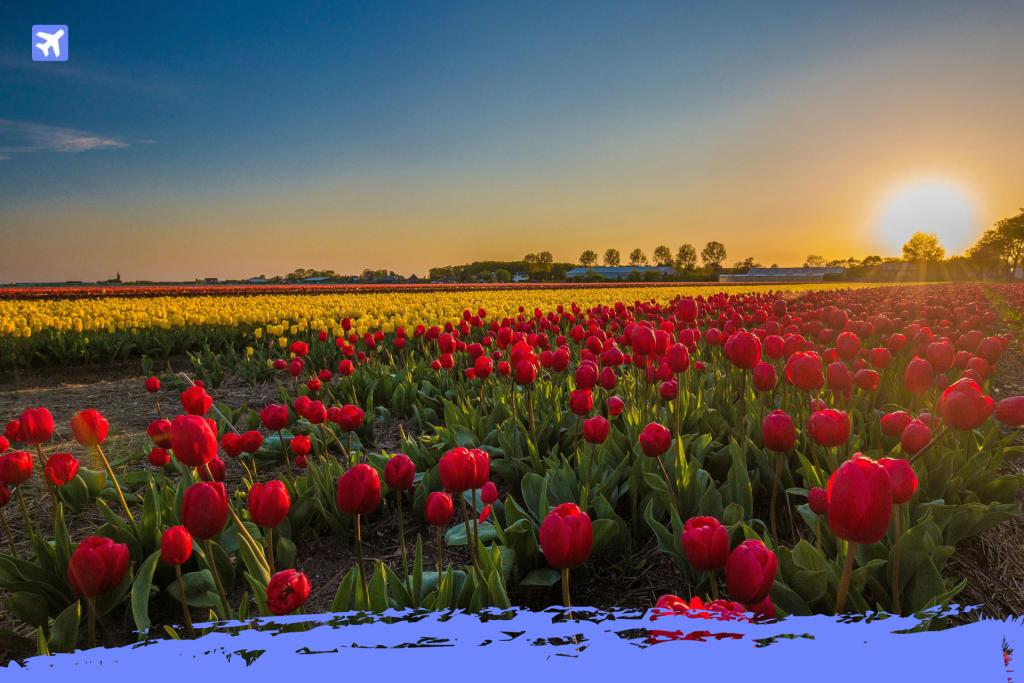 eSIM para Paises Bajos guia completa 2026